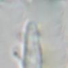 message #62685