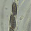 message #85407