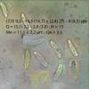 message #61923