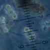 mastoidea
